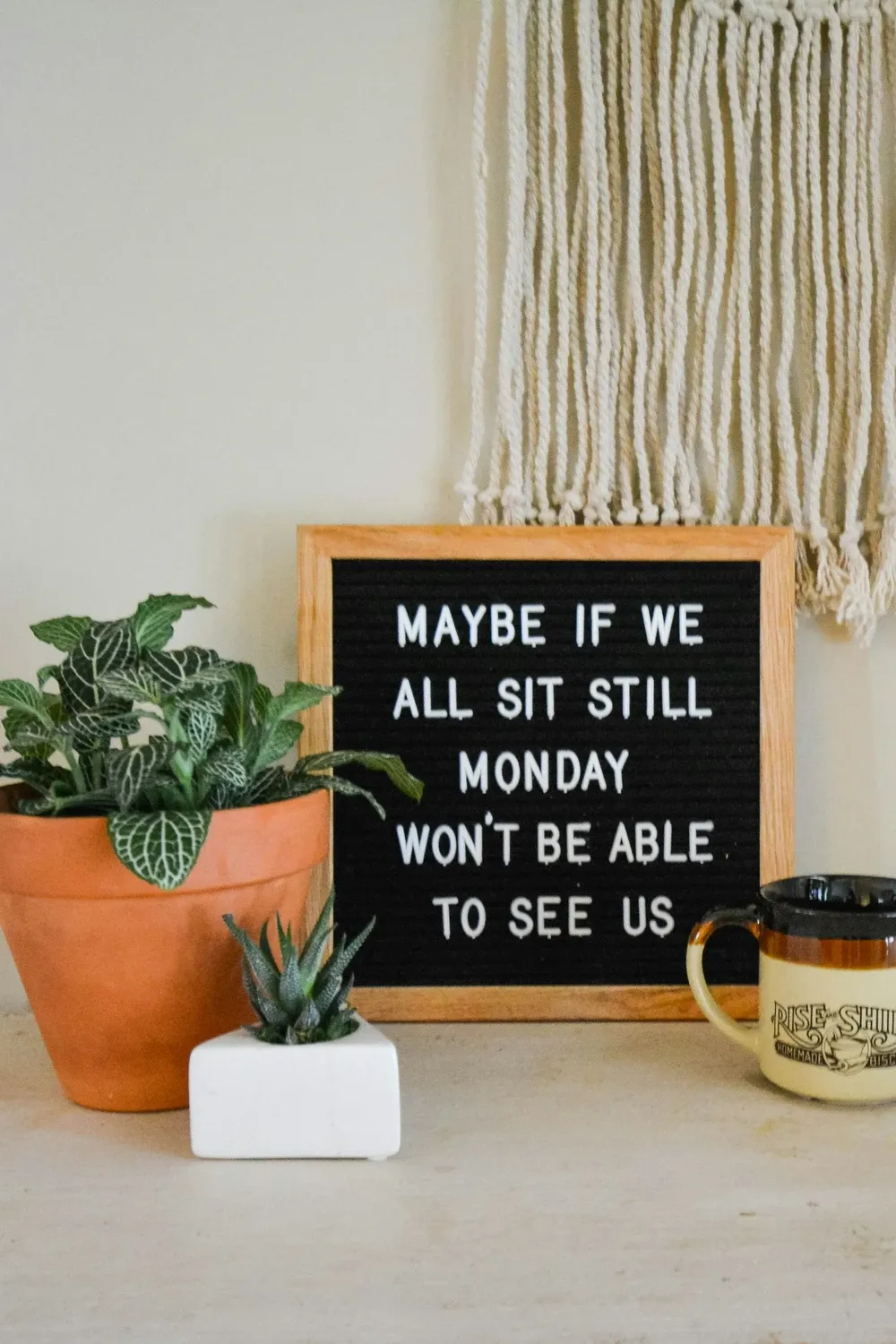 Black letter board with a funny Monday saying on a shelf beside potted plants and a coffee mug