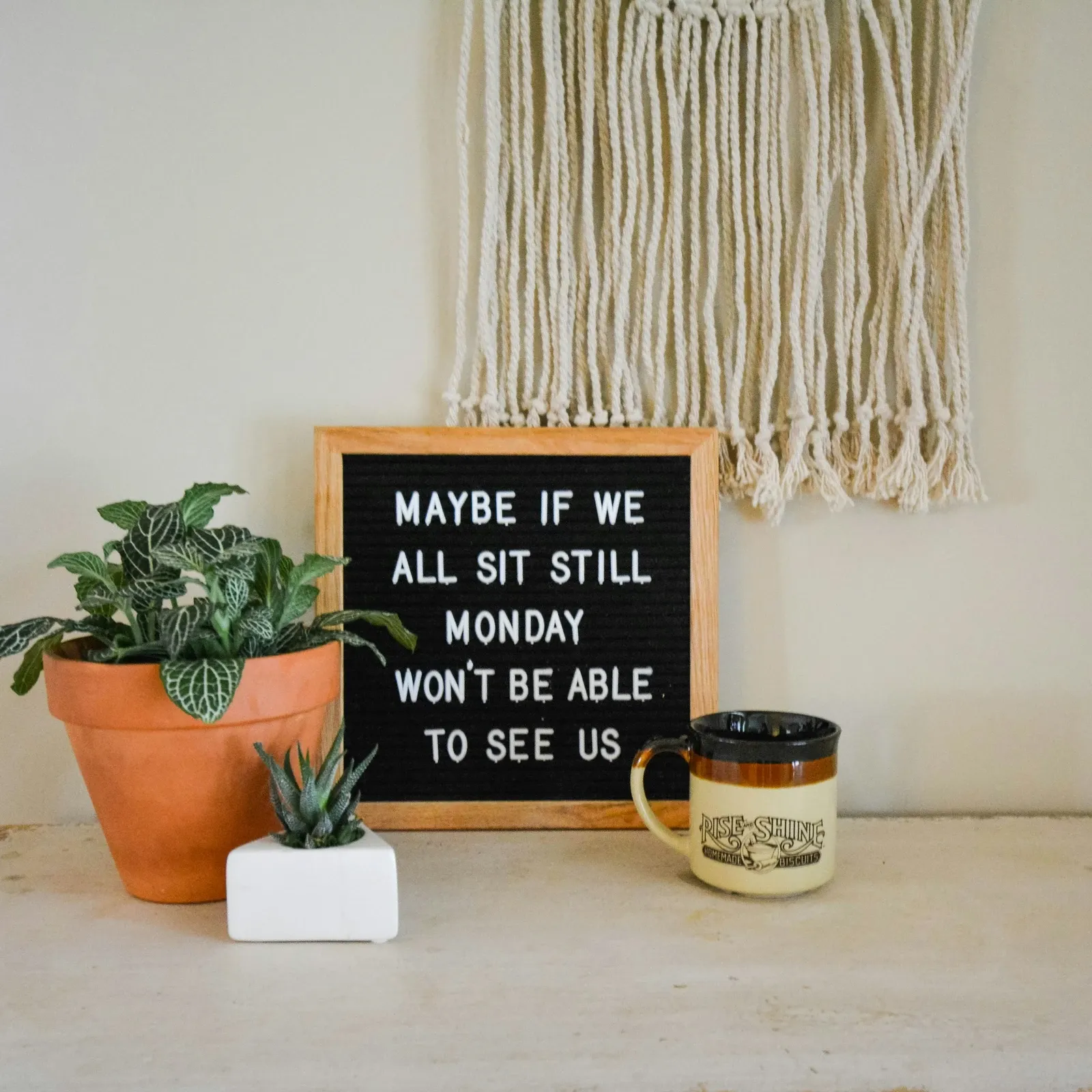 Black felt letter board with a funny Monday saying next to two potted plants and a coffee mug on a white shelf