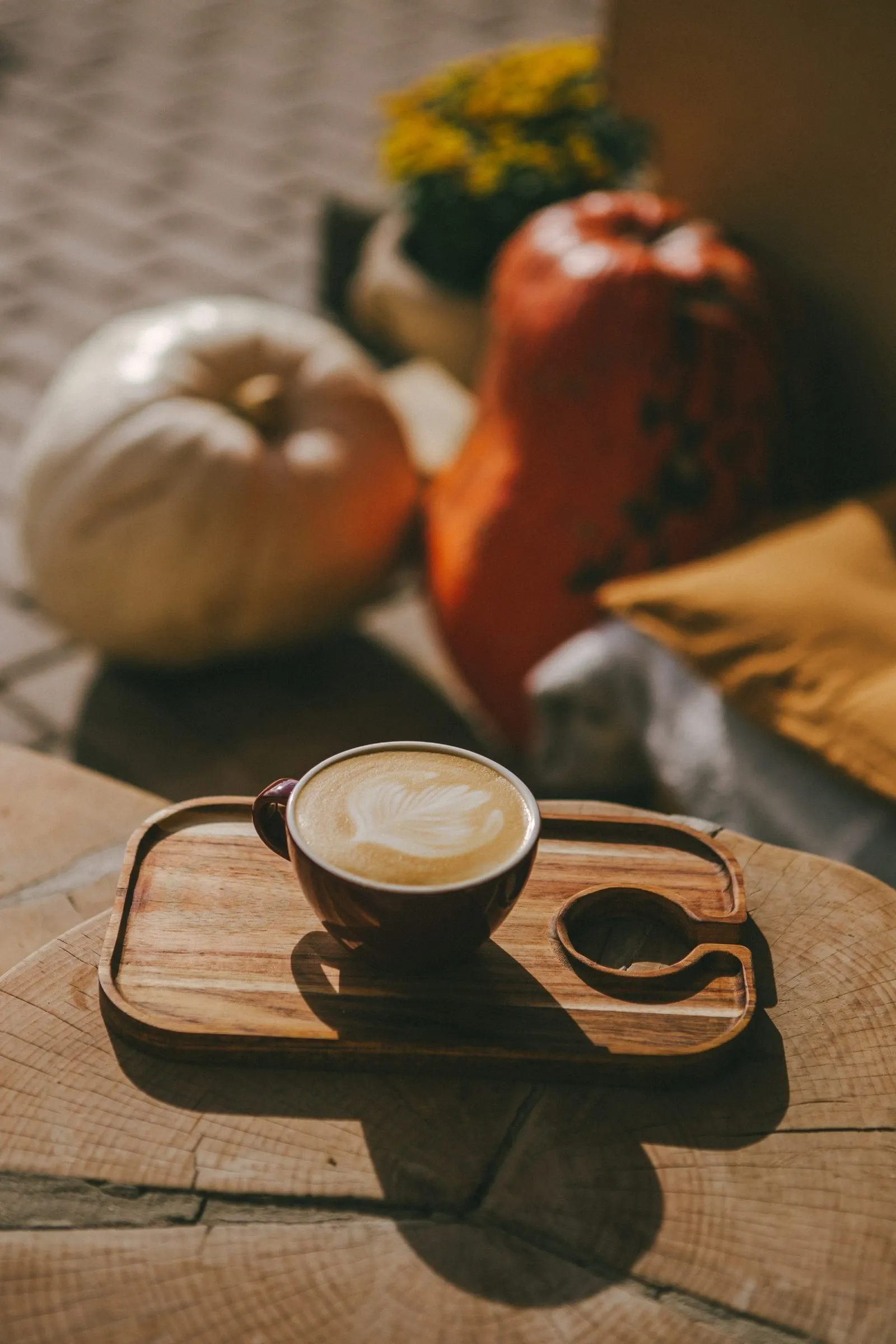 Latte on a wooden tray in front of white and orange pumpkins and yellow mums