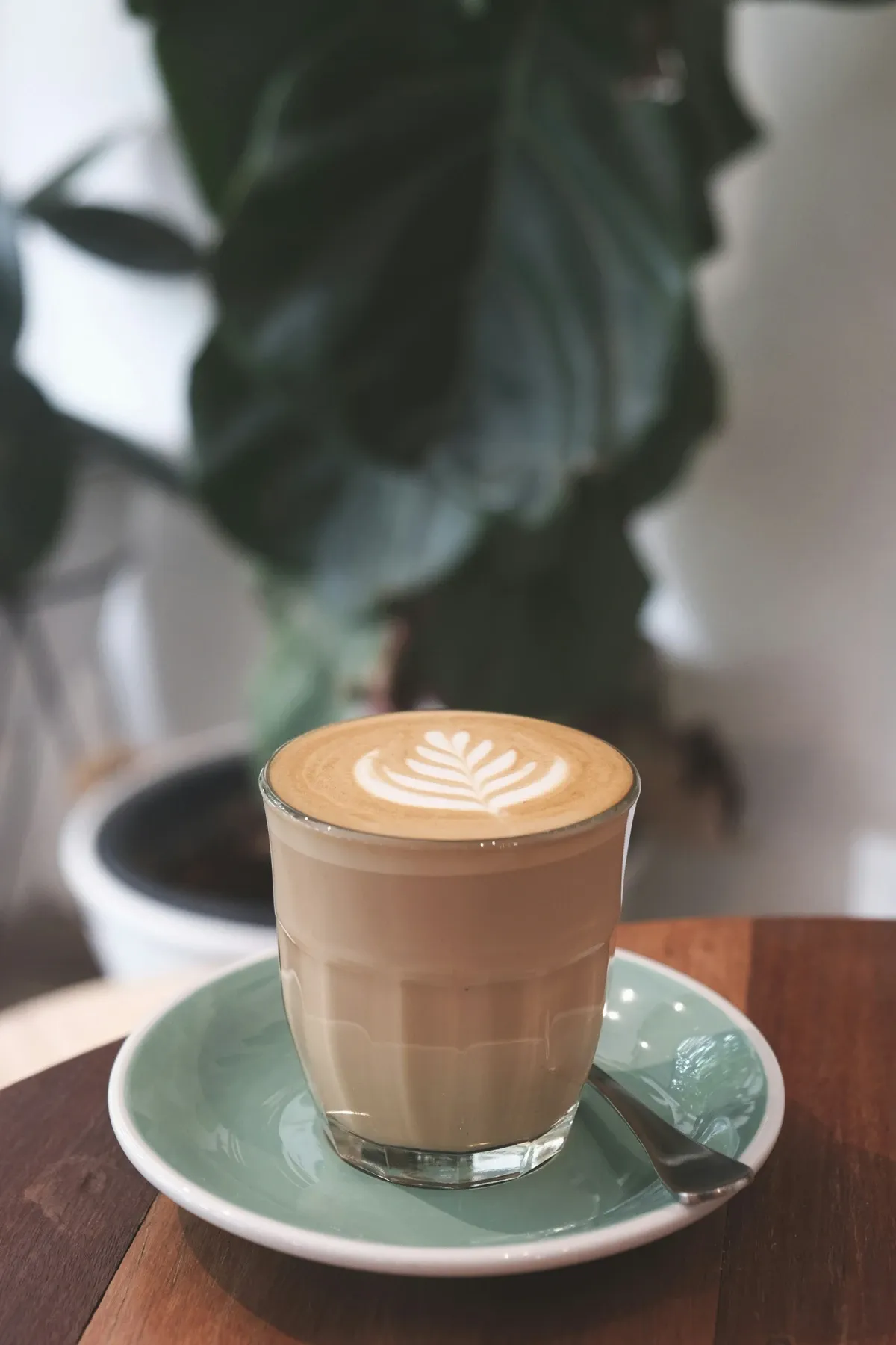 Flat white with latte art in a small glass on a green saucer beside a plant