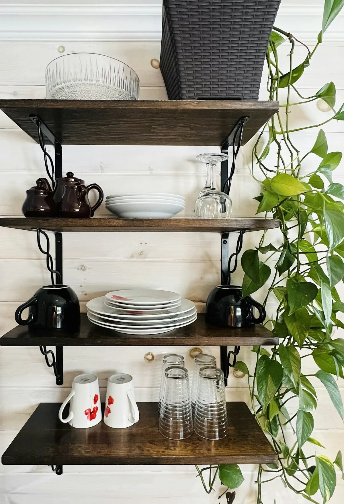 Black pipe-bracket shelves holding stacked plates, mugs, glasses and trailing plants on a coffee wall