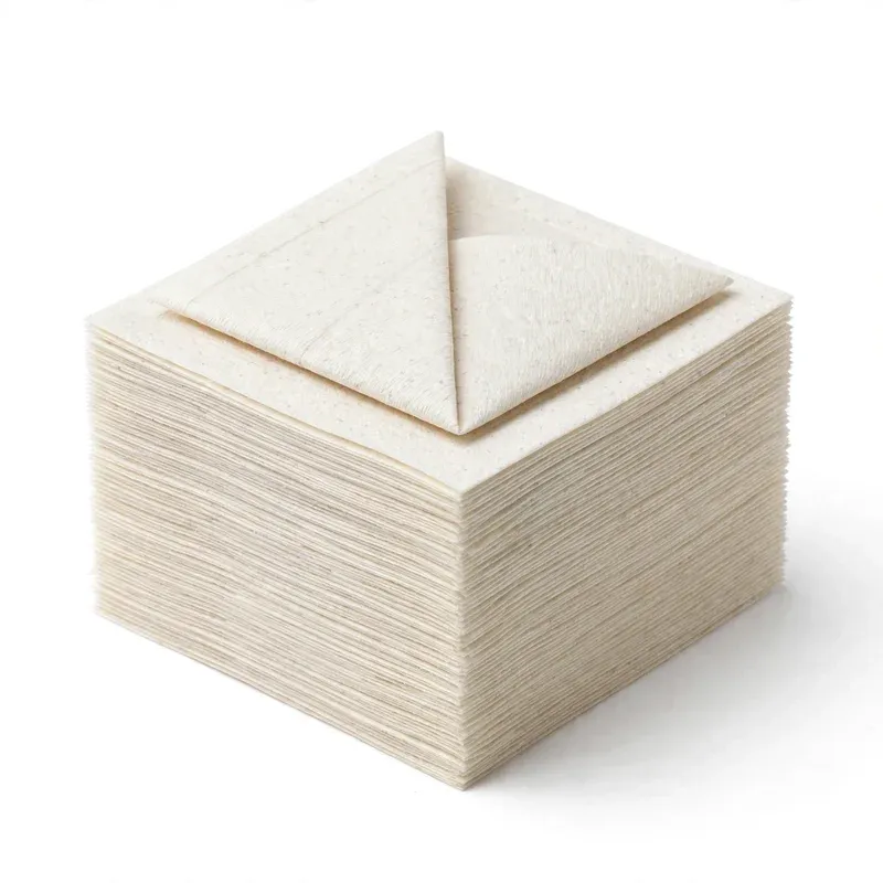 Chemex Bonded Filters, Square, 100 Count, product photo on a white background