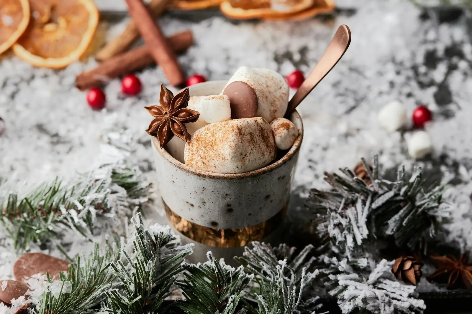 Mug of hot cocoa with marshmallows and star anise on a frosted table with dried orange slices and pine