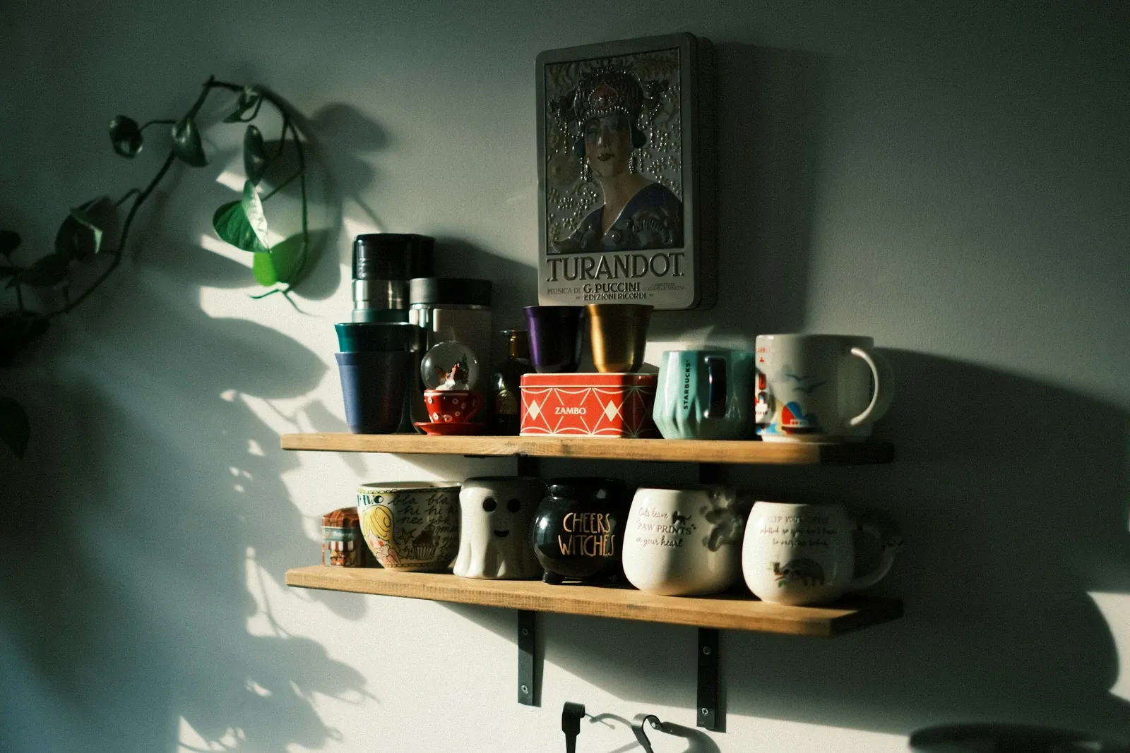 Open wood shelves holding handmade ceramic mugs in green and cream glazes with trailing plants